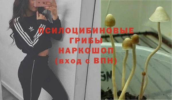 мдма Новокубанск