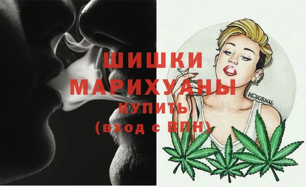 дурь Новодвинск