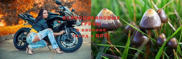 дурь Новодвинск