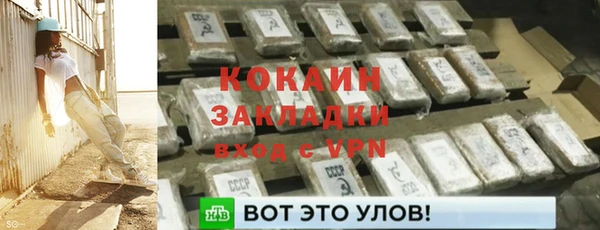 дурь Новодвинск