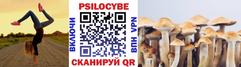Псилоцибиновые грибы мицелий  Темников 