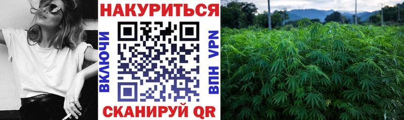 где можно купить   Темников  сайты даркнета клад  Шишки марихуана LSD WEED 